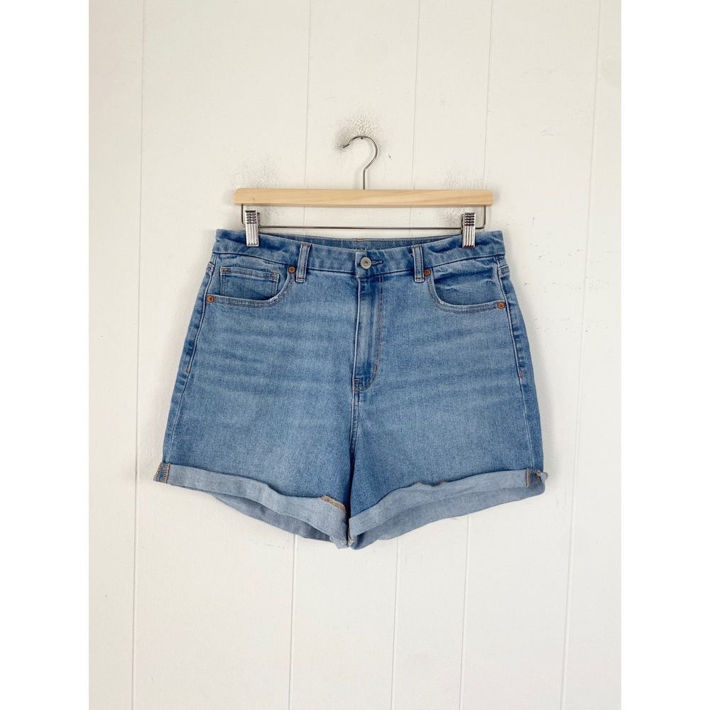 American Eagle Outfitters Light Blue Denim Jean Shorts